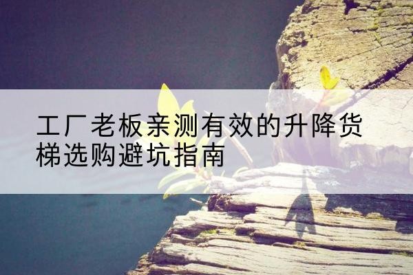 滨城升降货梯怎么选-工厂老板亲测有效的升降货梯选购避坑指南