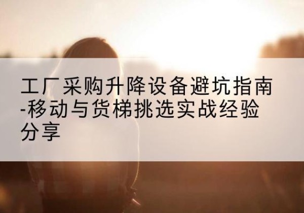 滨城移动式升降机怎么选-工厂采购升降设备避坑指南-移动与货梯挑选实战经验分享