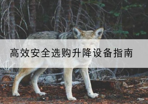 滨城升降货梯厂家推荐-*安全选购升降设备指南