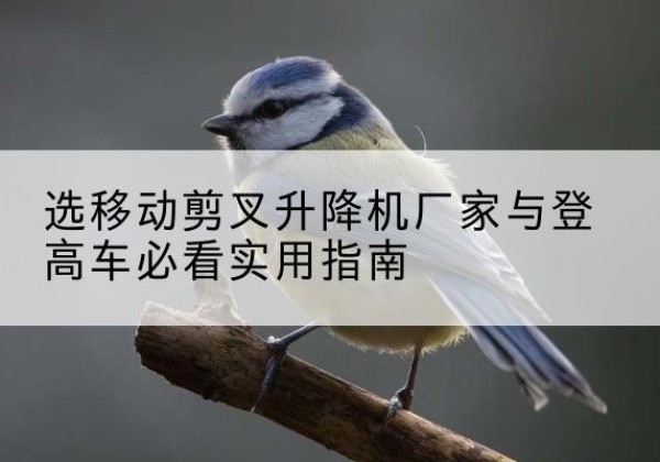滨城电动升降机厂家-选移动剪叉升降机厂家与登高车必看实用指南