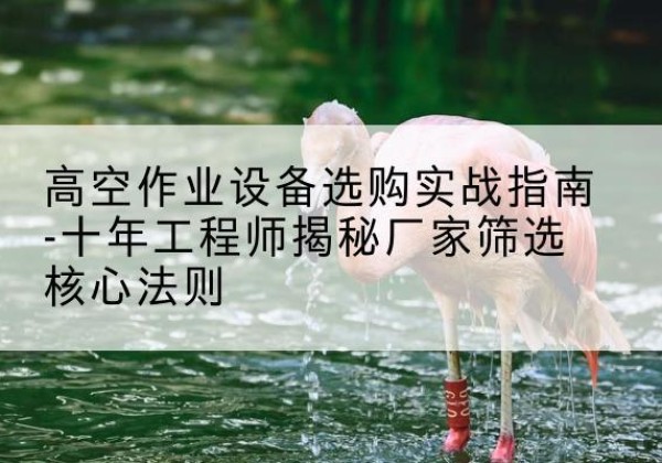 滨城剪叉式升降机厂家-高空作业设备选购实战指南-十年工程师揭秘厂家筛选核心法则