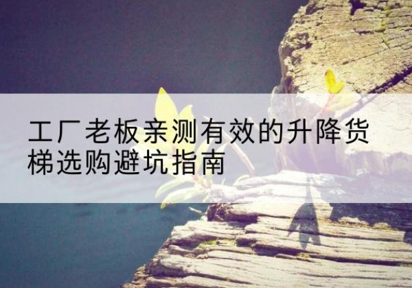滨城升降货梯怎么选-工厂老板亲测有效的升降货梯选购避坑指南